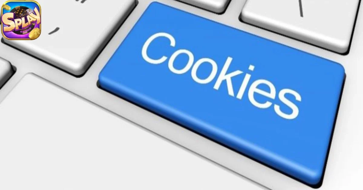 Quản lý và kiểm soát Cookie