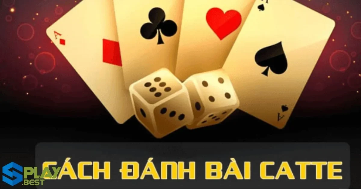 Hướng Dẫn Cách Chơi Game Bài Catte Tại Splay Chi Tiết