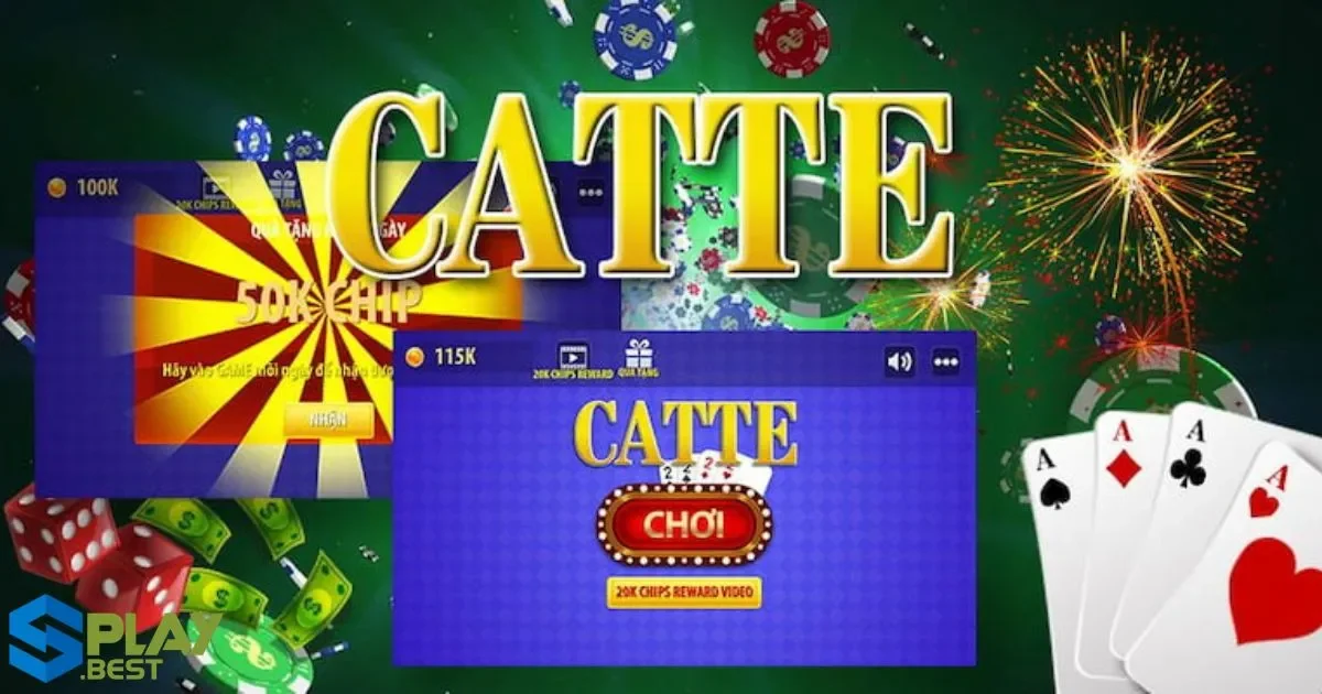 Cách chơi game bài catte: Mẹo giúp bạn thắng khi chơi catte trên Splay