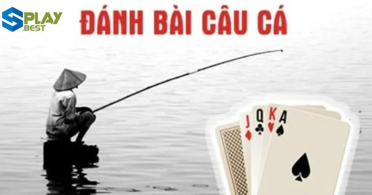 Cách Chơi Game Bài Câu Cá Để Thắng Dễ Dàng Tại Splay