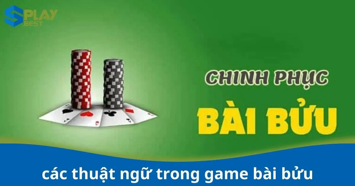 Thuật Ngữ Cơ Bản Trong Game Bài Bửu Tại Splay