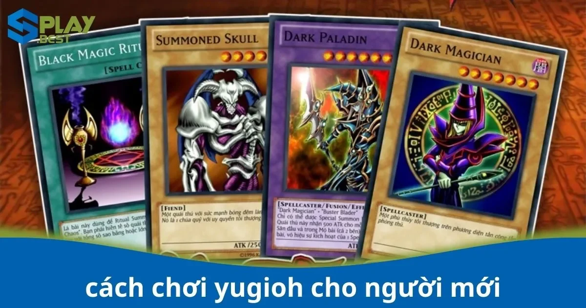 Cách Chơi Yugioh Cho Người Mới – Hướng Dẫn Cơ Bản tại Splay