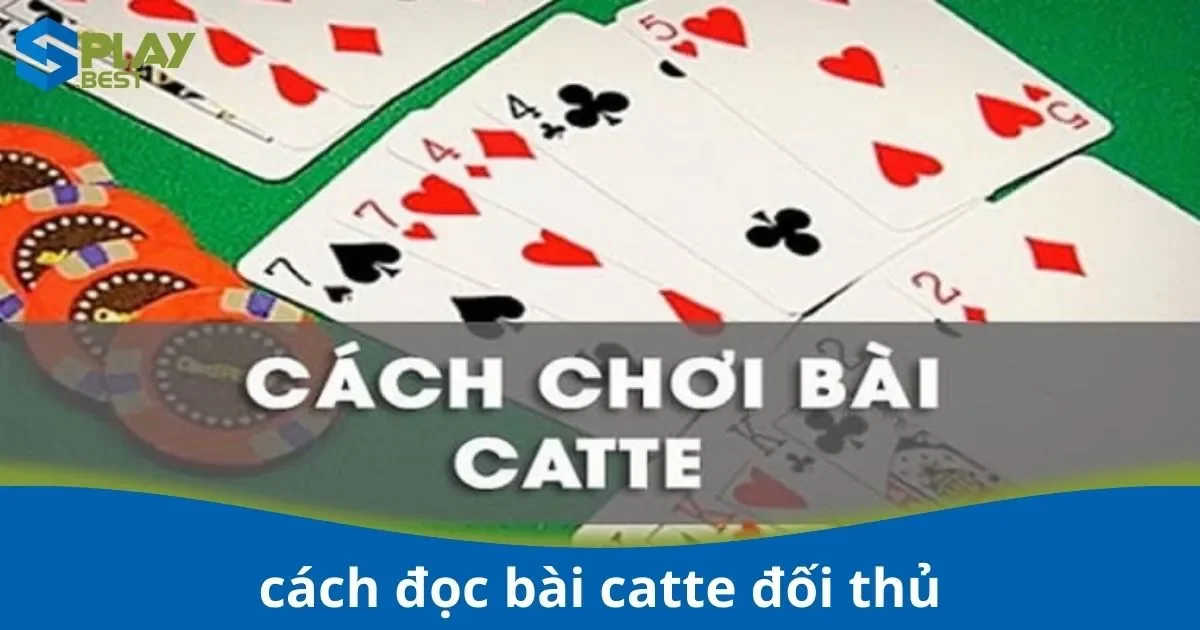 Cách Đọc Bài Catte Đối Thủ – Kỹ Thuật Nhớ Bài Tại Splay