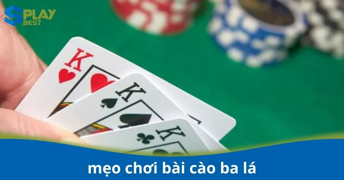 Sử Dụng Chiến Thuật Số Hiệu Quả Trong Game Bài Domino Tại Splay